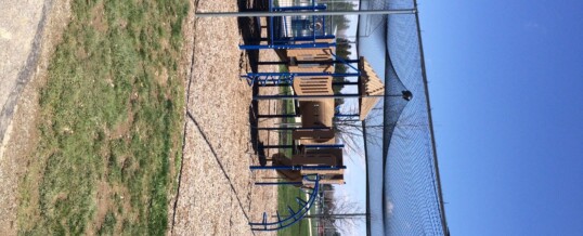 Successful Clean Up Day